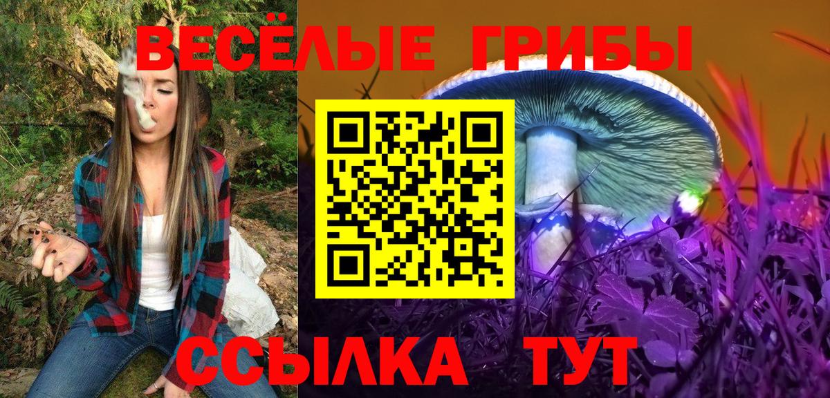 Псилоцибиновые грибы мицелий Тулун