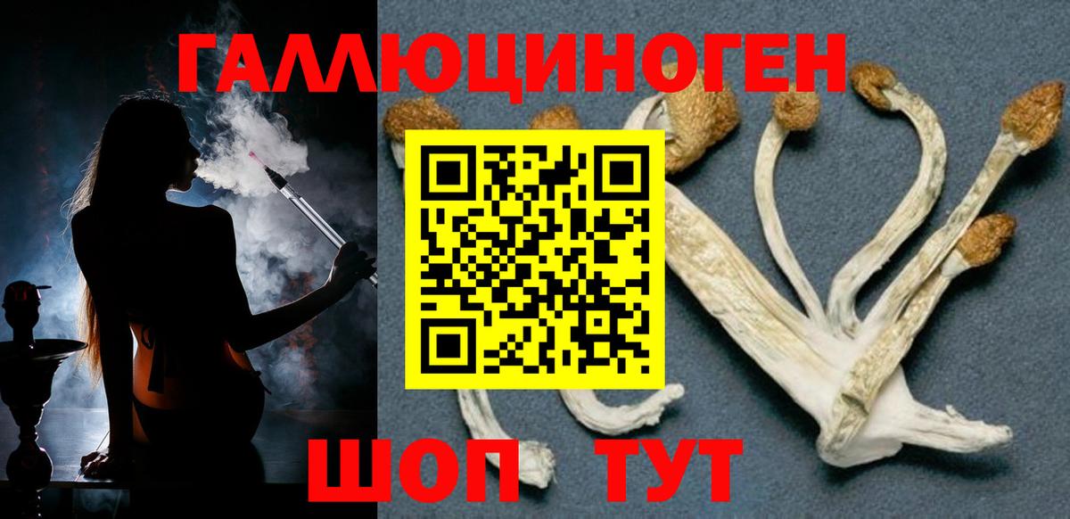 Псилоцибиновые грибы MAGIC MUSHROOMS  Галлюциногенные грибы мицелий  Тулун  Вход с VPN 
